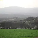 Atlie Moises * Bragança