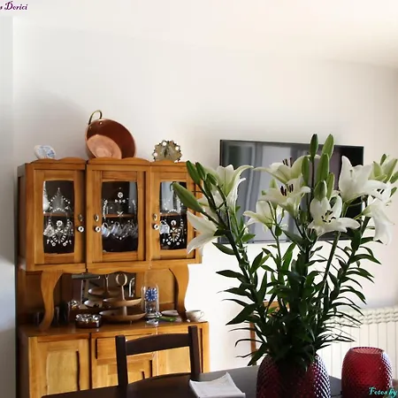 Atlie Moises Nyaraló