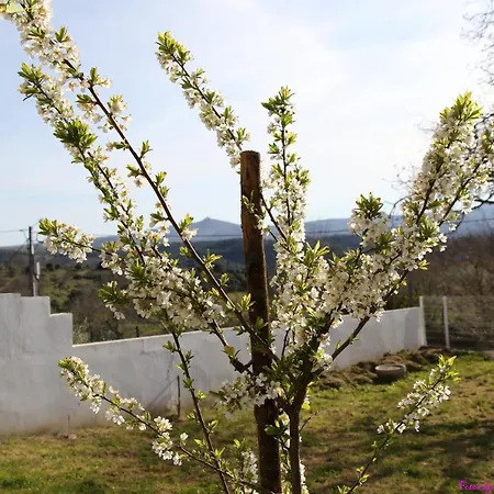 Nyaraló Atlie Moises