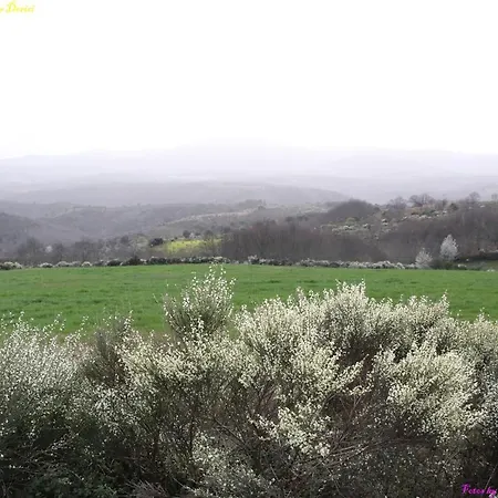 Atlie Moises Nyaraló *