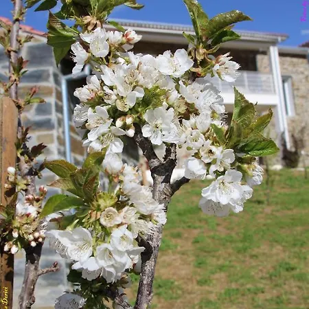 Nyaraló Atlie Moises Bragança