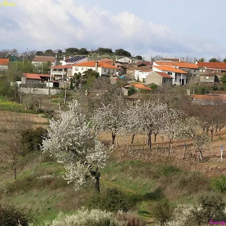 Atlie Moises Nyaraló