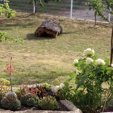 Nyaraló Atlie Moises