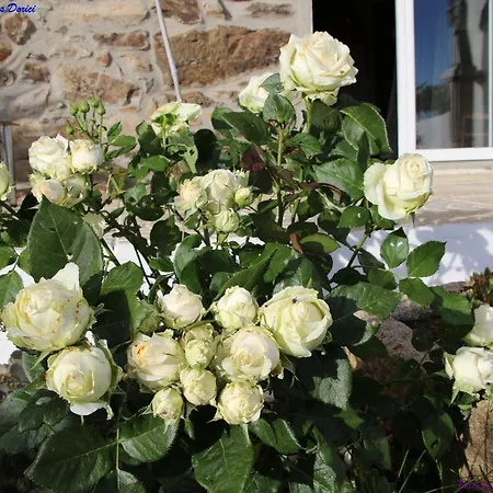 Atlie Moises Bragança