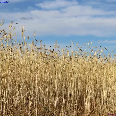 Nyaraló Atlie Moises Bragança