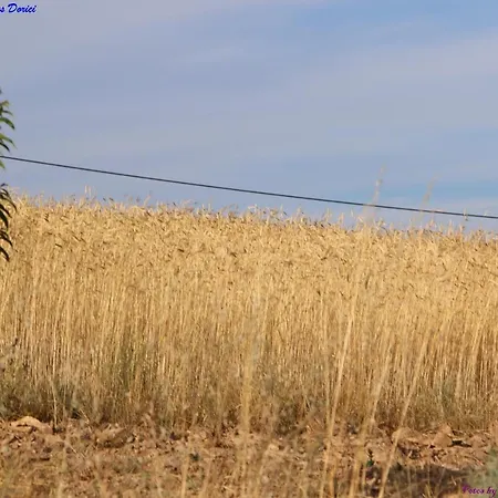 Nyaraló Atlie Moises