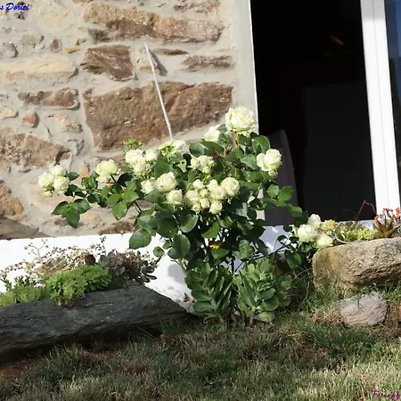 Atlie Moises Bragança