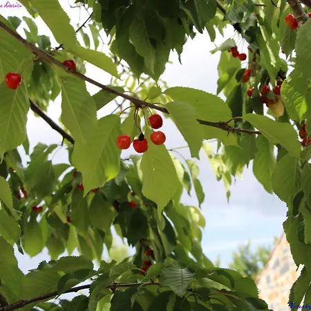 Nyaraló Atlie Moises