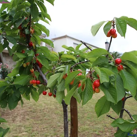 Nyaraló Atlie Moises