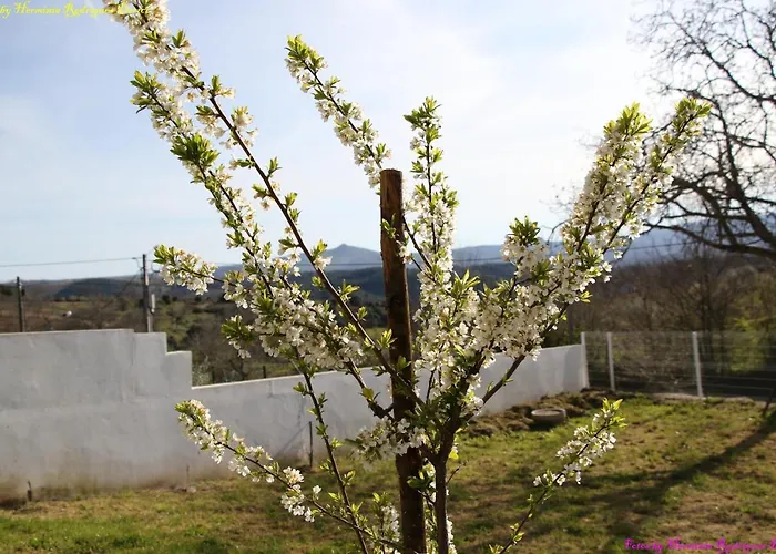 Semesterbostad Atlie Moises