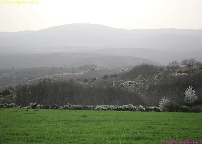 Atlie Moises * Bragança