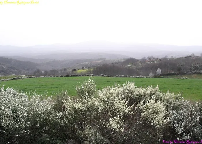 Atlie Moises Semesterbostad *