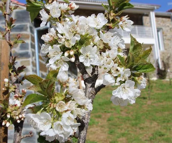 Semesterbostad Atlie Moises Bragança