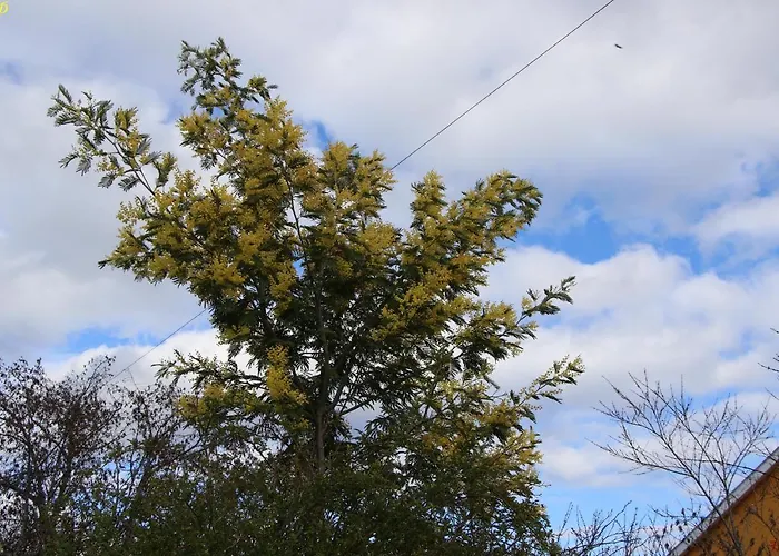 Atlie Moises Semesterbostad