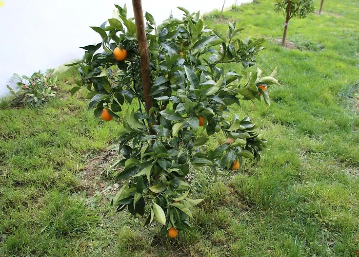 Atlie Moises Semesterbostad