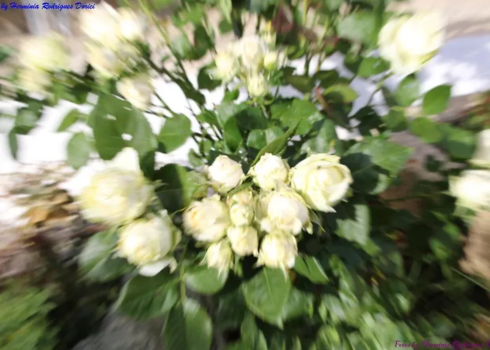 Atlie Moises Semesterbostad Bragança