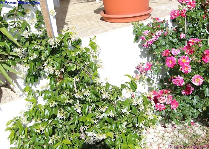 Atlie Moises Semesterbostad