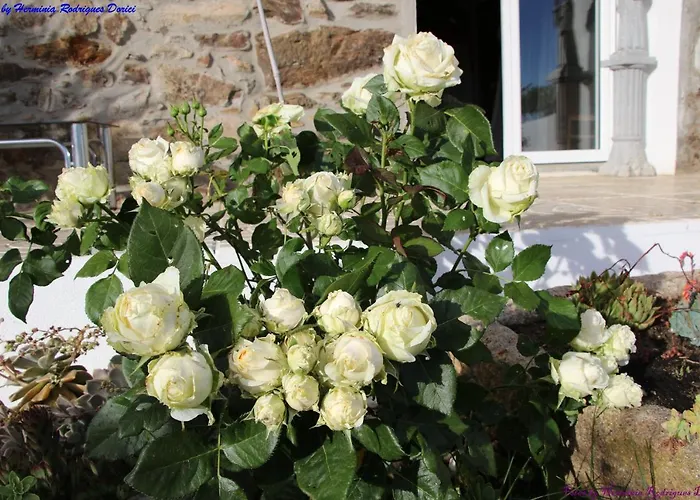 Atlie Moises Bragança