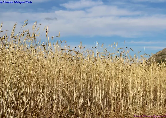 Semesterbostad Atlie Moises Bragança