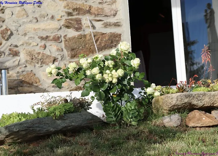 Atlie Moises Bragança