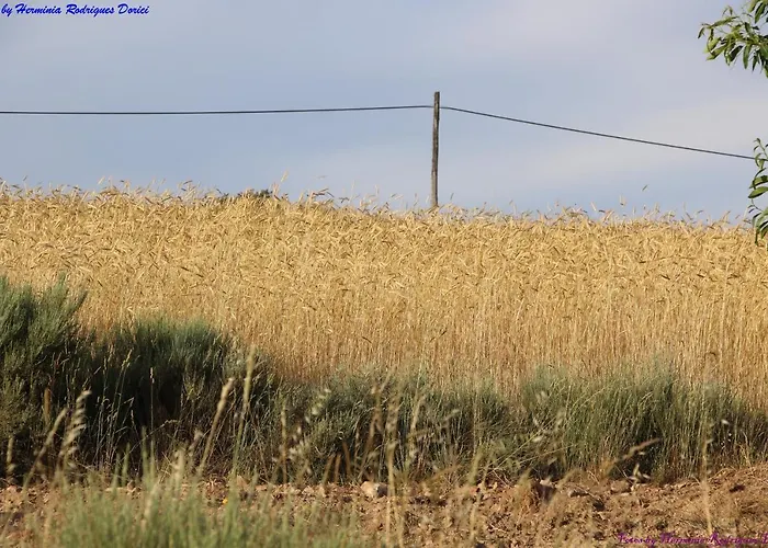 Semesterbostad Atlie Moises Bragança