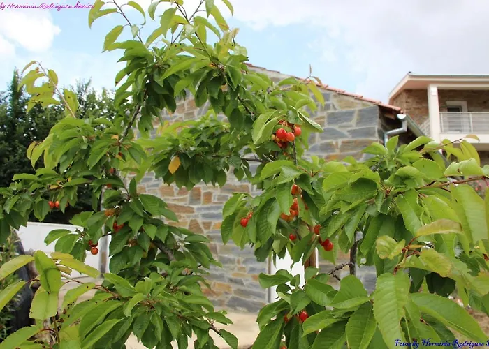 Semesterbostad Atlie Moises