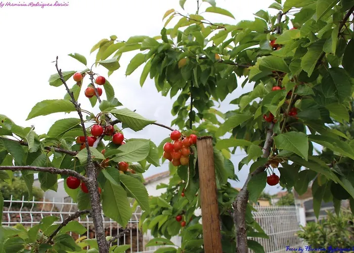 Atlie Moises Semesterbostad Bragança