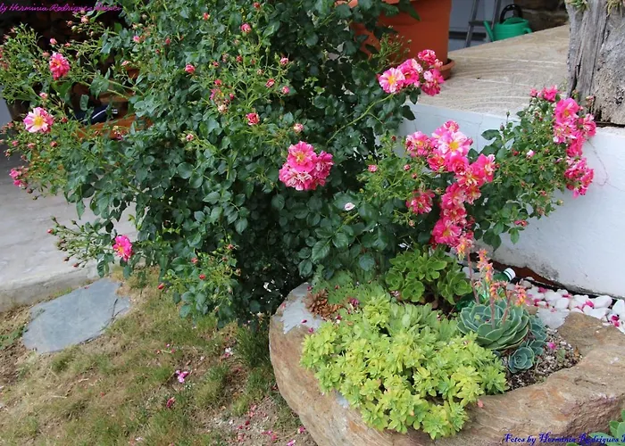 Atlie Moises Semesterbostad