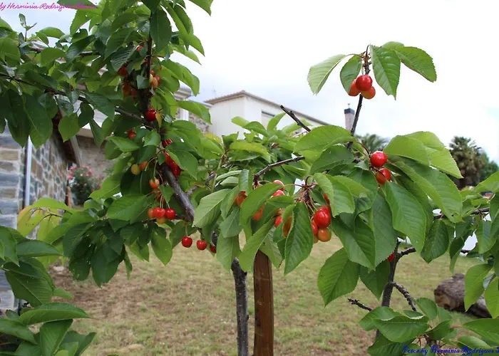 Semesterbostad Atlie Moises