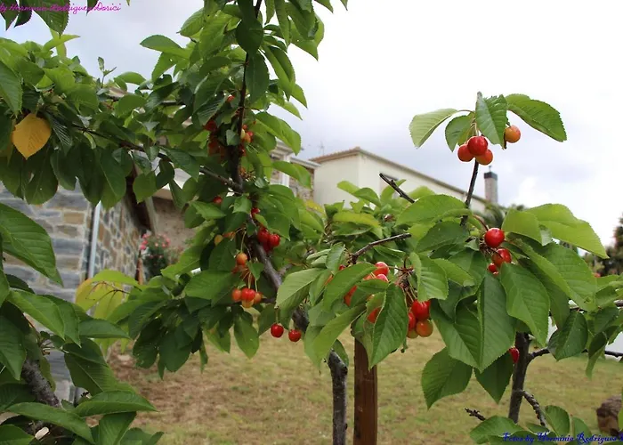 Atlie Moises Semesterbostad *